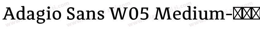 Adagio Sans W05 Medium字体转换